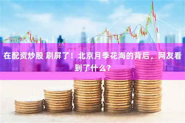 在配资炒股 刷屏了！北京月季花海的背后，网友看到了什么？